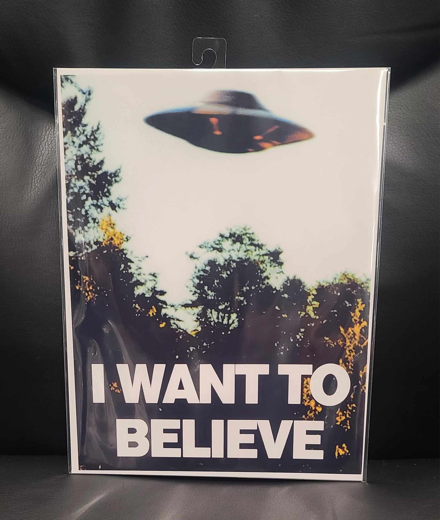 I Want To Believe Print 8.5x11