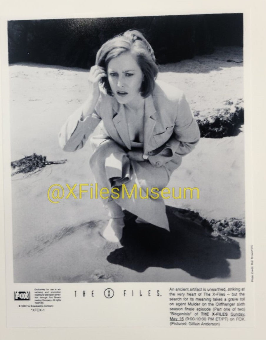 " Biogenesis " Press Photo 8" x 10"