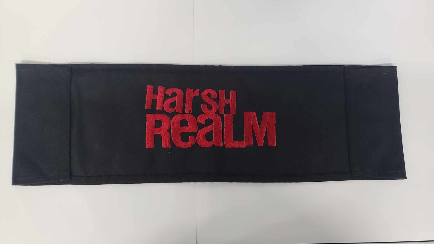 Harsh Realm Chair Back - Autographed by Chris Carter