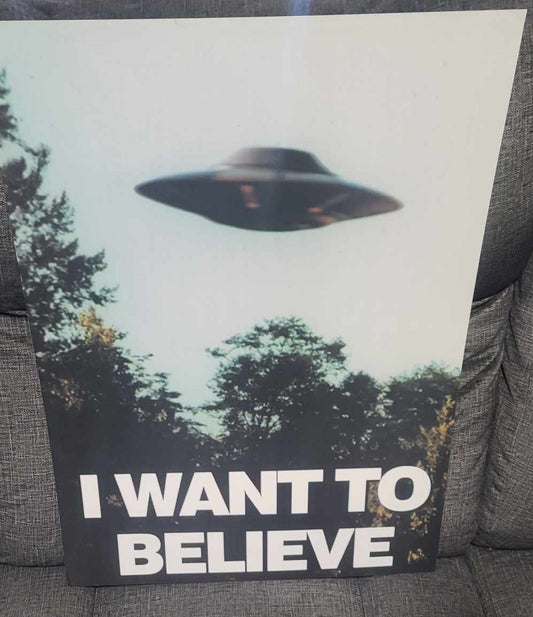 I WANT TO BELIEVE Poster Print -from original File