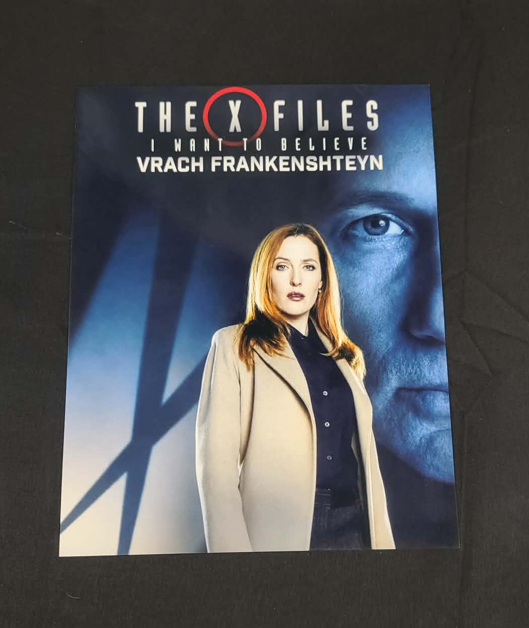 *X-Files- I Want To Believe - Vrach Frankenshteyn. 13x19 poster