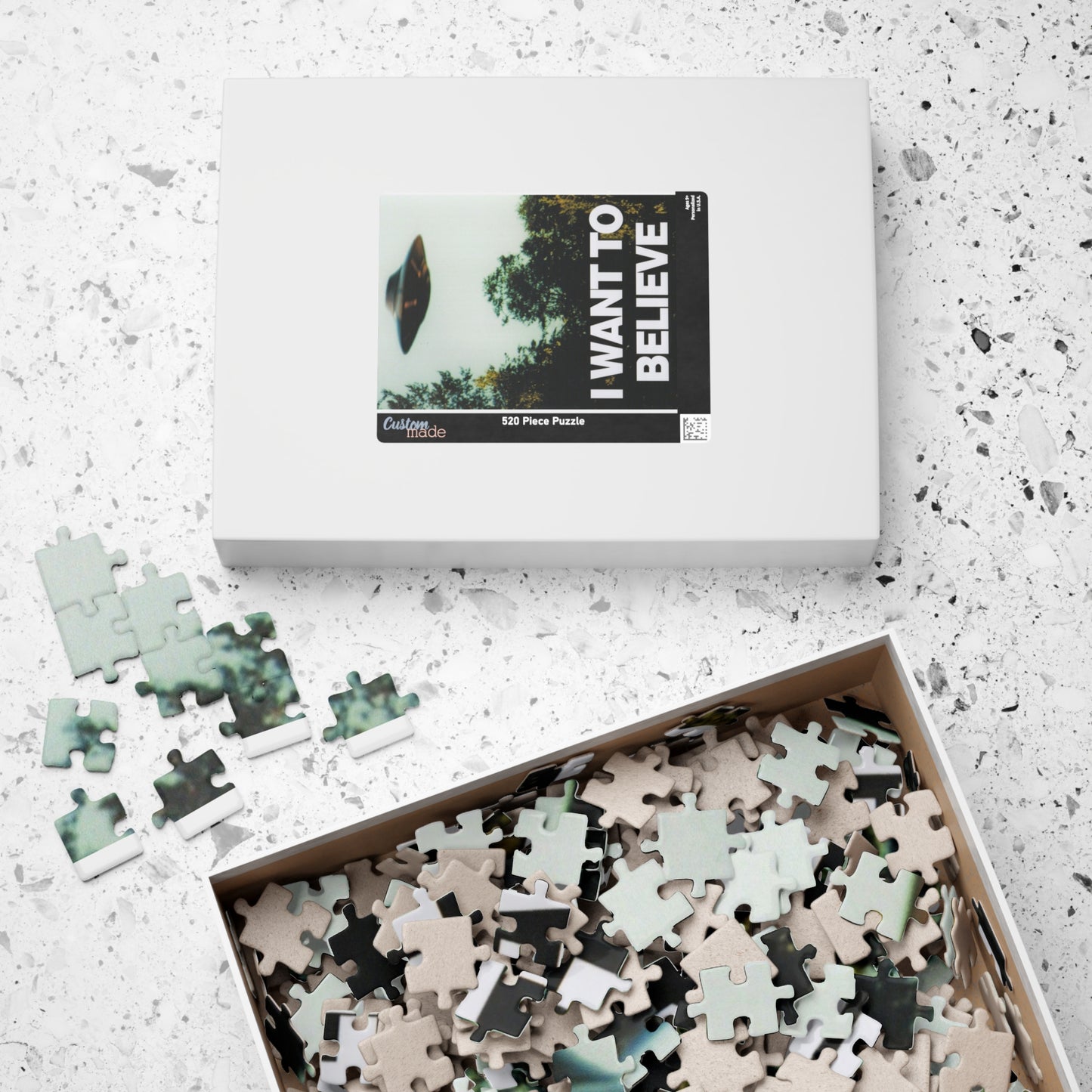 I Want To Believe Puzzle (110, or 520piece)- XFP Direct