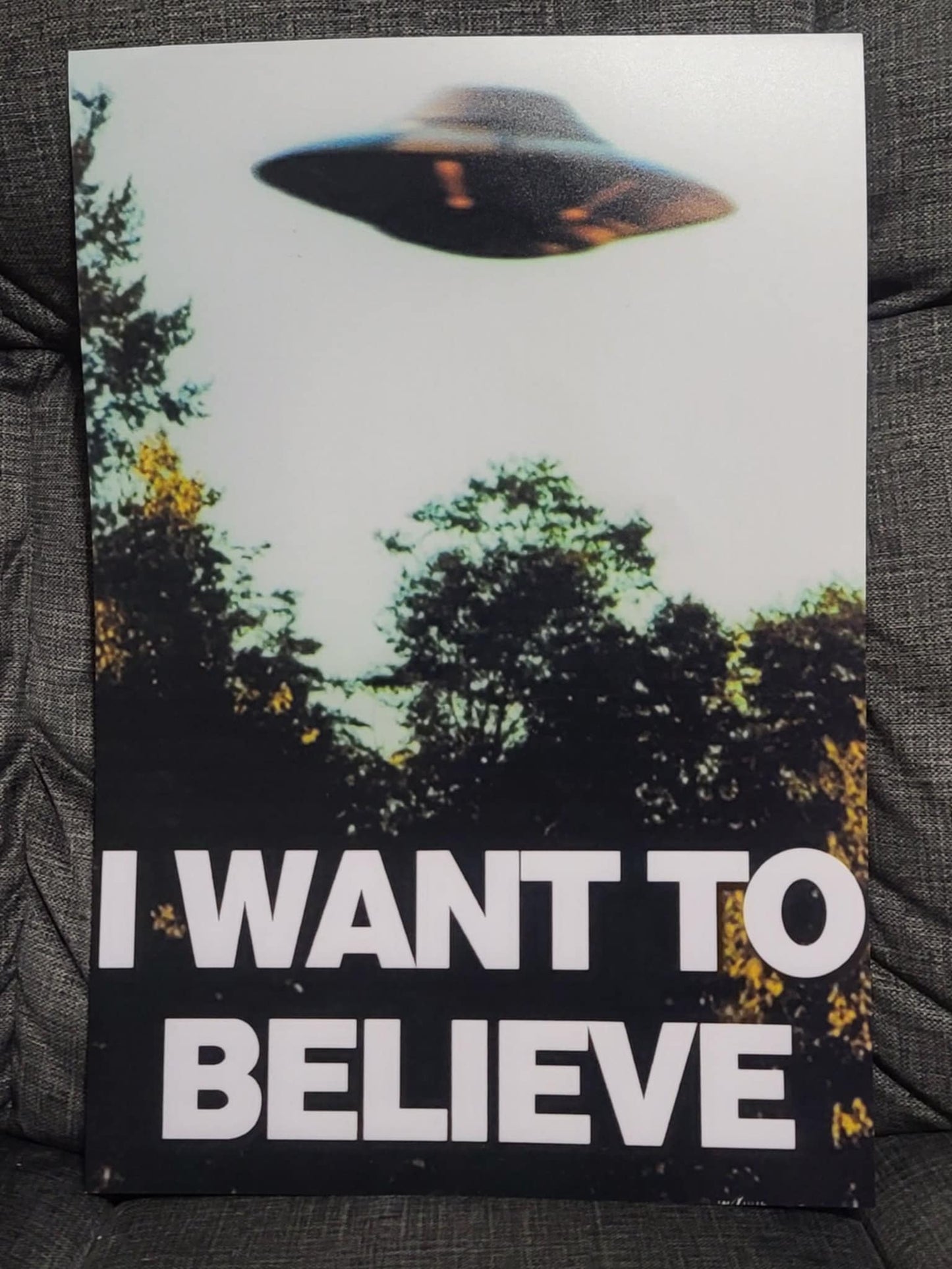 I WANT TO BELIEVE Poster Print -from original File (Copy) 13" x 19"