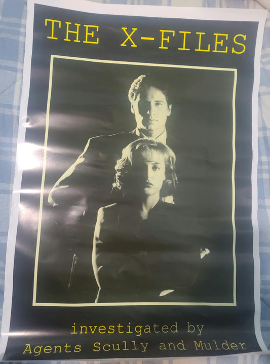 X-Files - Mulder and Scully Investigation Poster