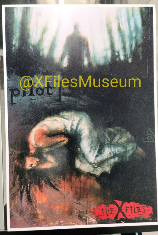 " Pilot" VHS Card Art Poster Print 13" x 19"